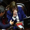 El Senado aprobó y giró a Diputados la reforma a la ley de salud mental