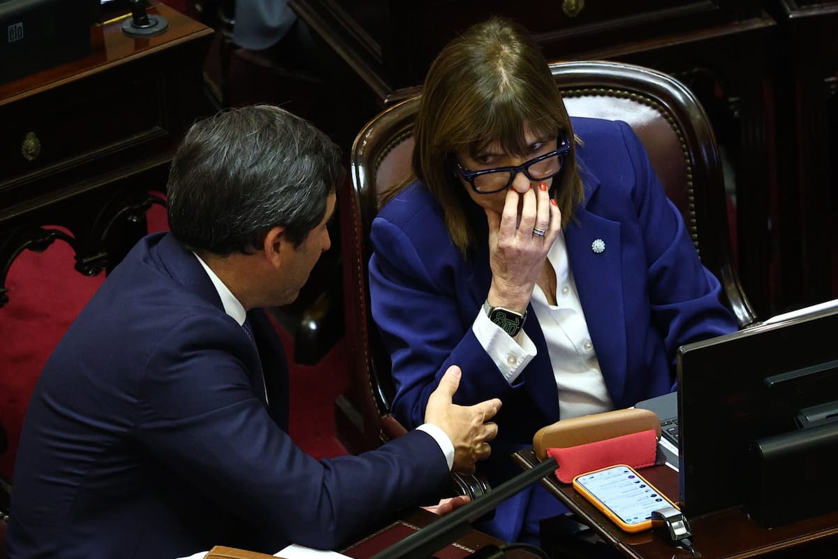 Los senadores Martín Goerling y Patricia Bullrich en plena sesión