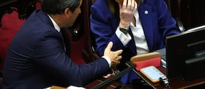 El Senado aprobó y giró a Diputados la reforma a la ley de salud mental