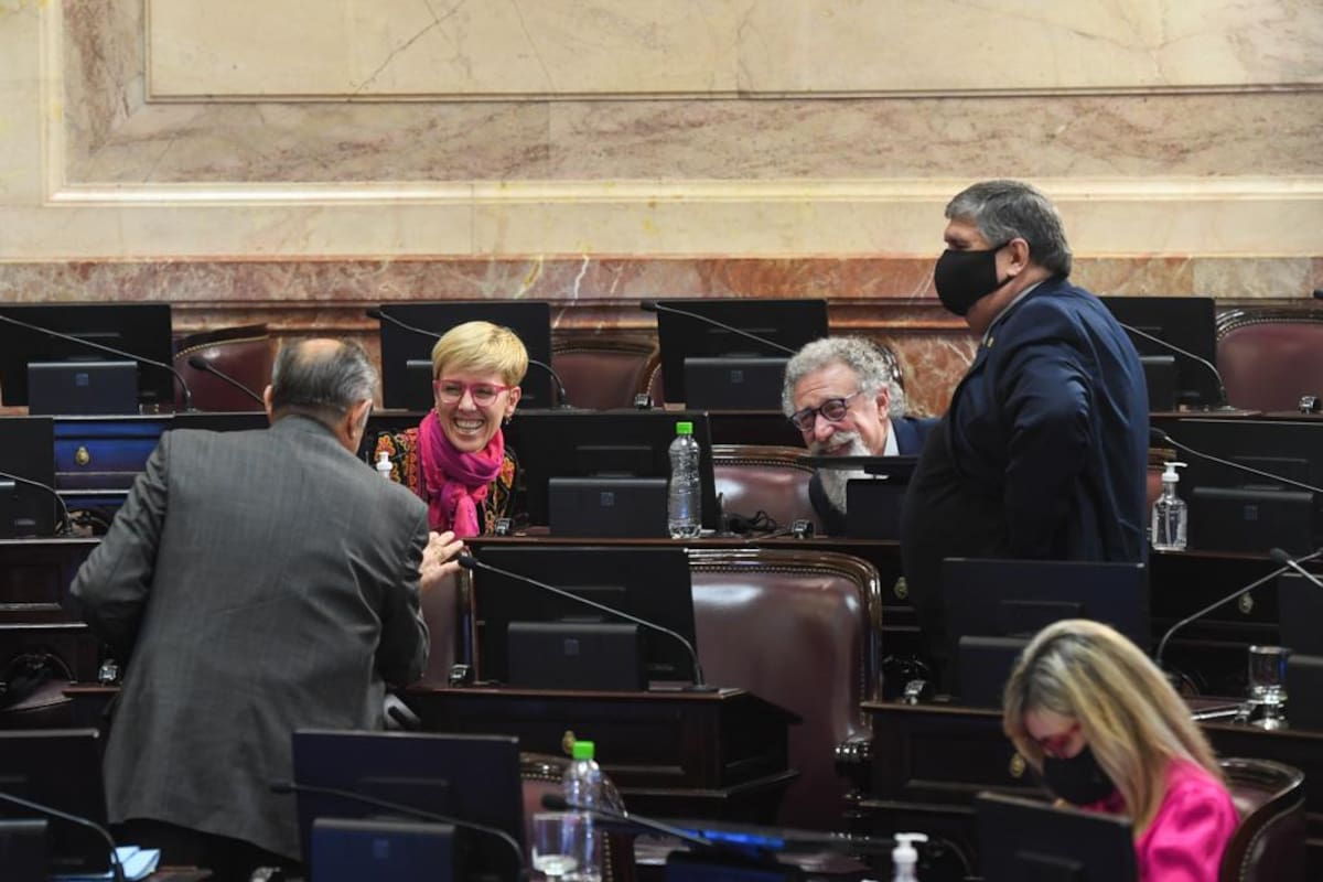 Los senadores que participaron de la sesión en forma presencial.