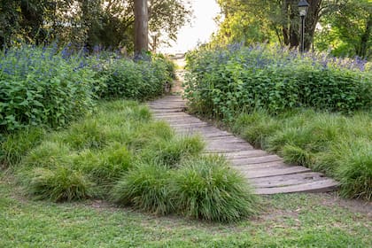 Los senderos invitan a recorrer y descubrir el jardín al caminar