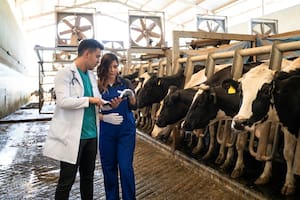 Los seres humanos y la producción, en interacción