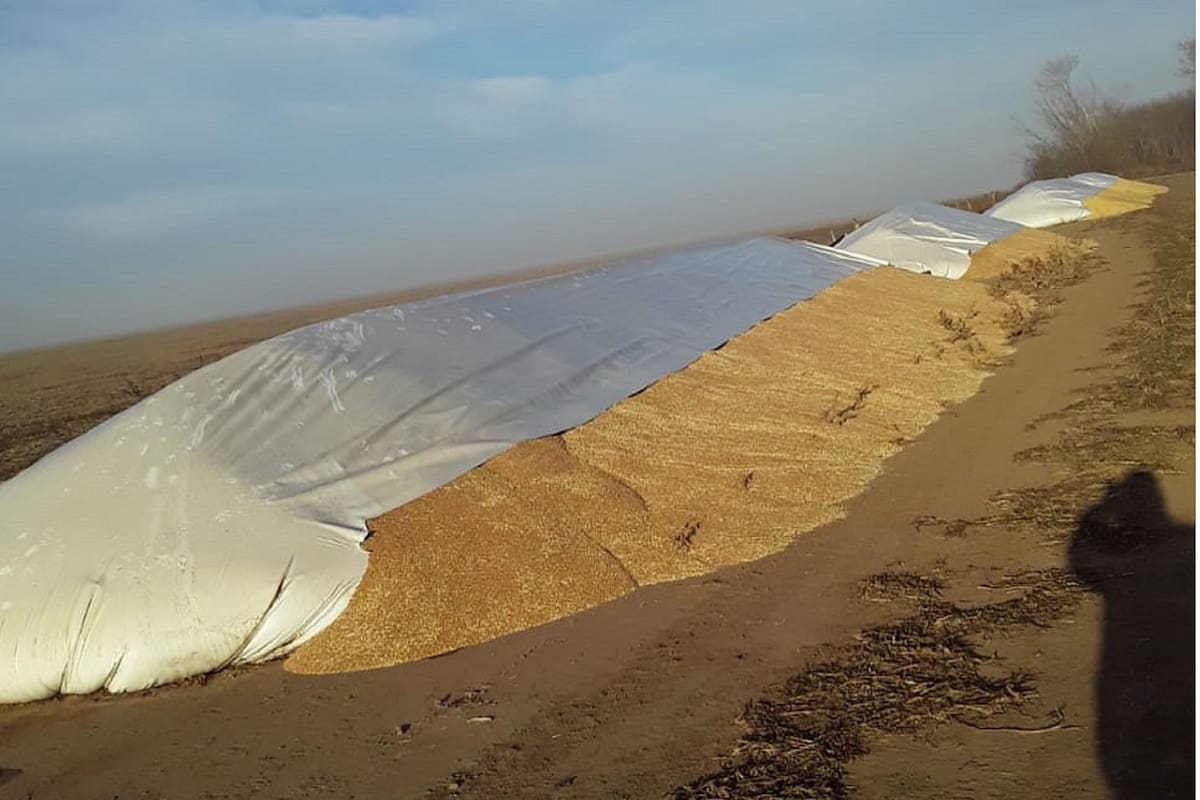 Los silobolsas contenían 220 toneladas de trigo y soja
