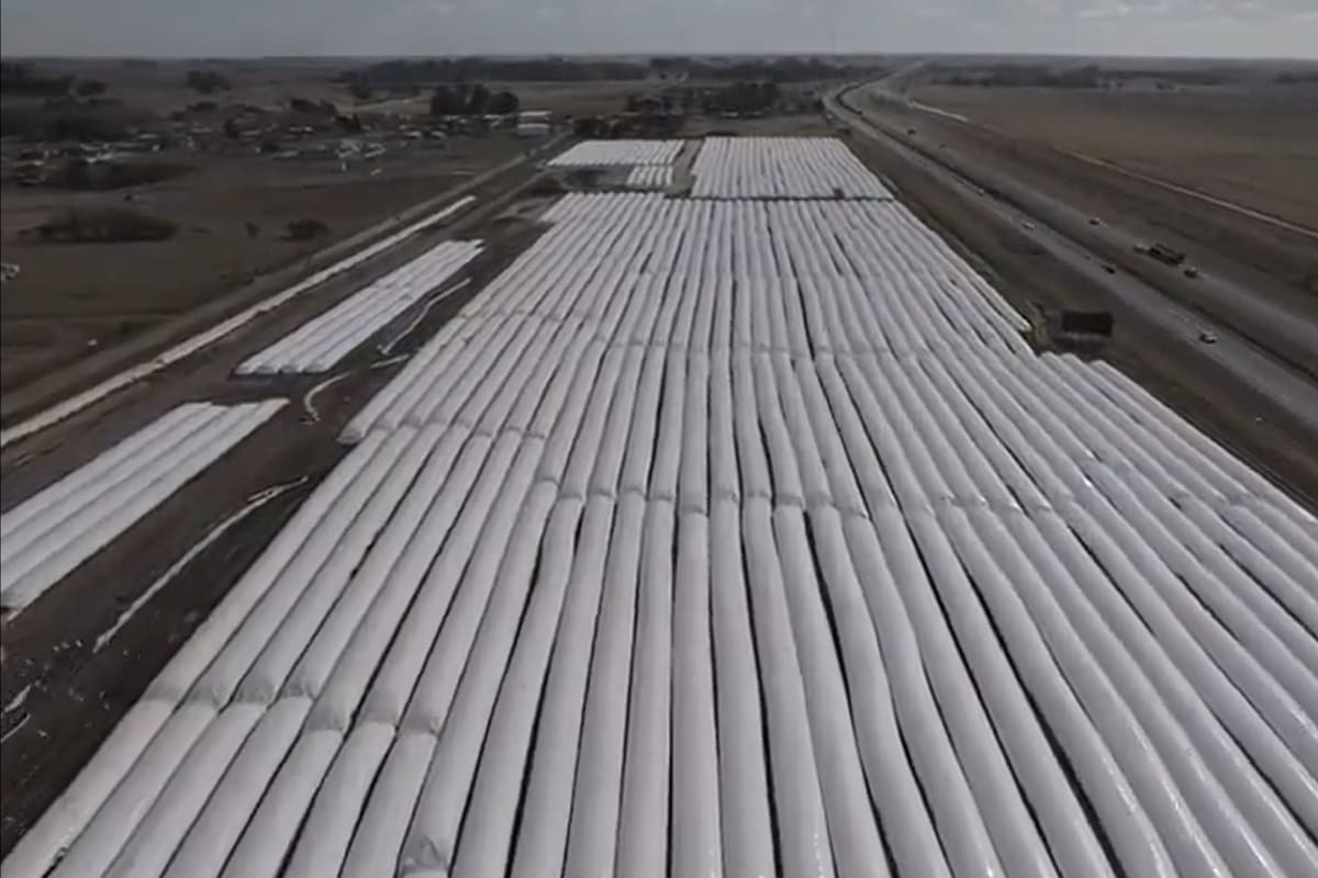 Los silobolsas pertenecen a Seda S.A, una empresa que produce aceite de girasol