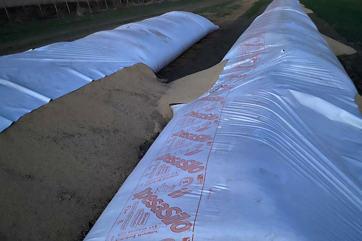 Los silobolsas rotos en Sancti Spíritu, Santa Fe