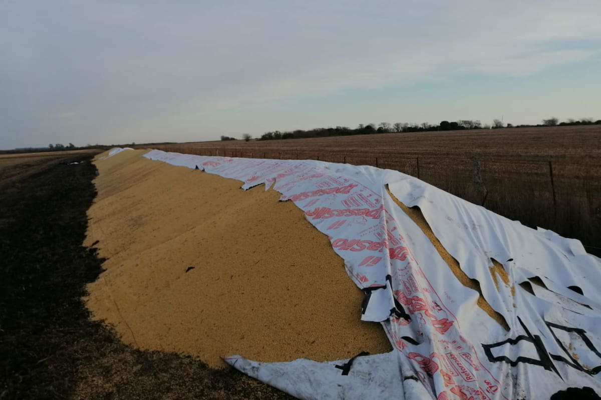 Los silobolsas vandalizados tenían 450 toneladas