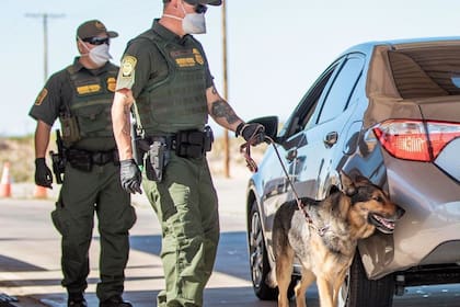 Los sistemas de inspección no intrusiva utilizan imágenes y perros para identificar anomalías dentro de vehículos y cargamentos sin necesidad de abrirlos (Foto ilustrativa)