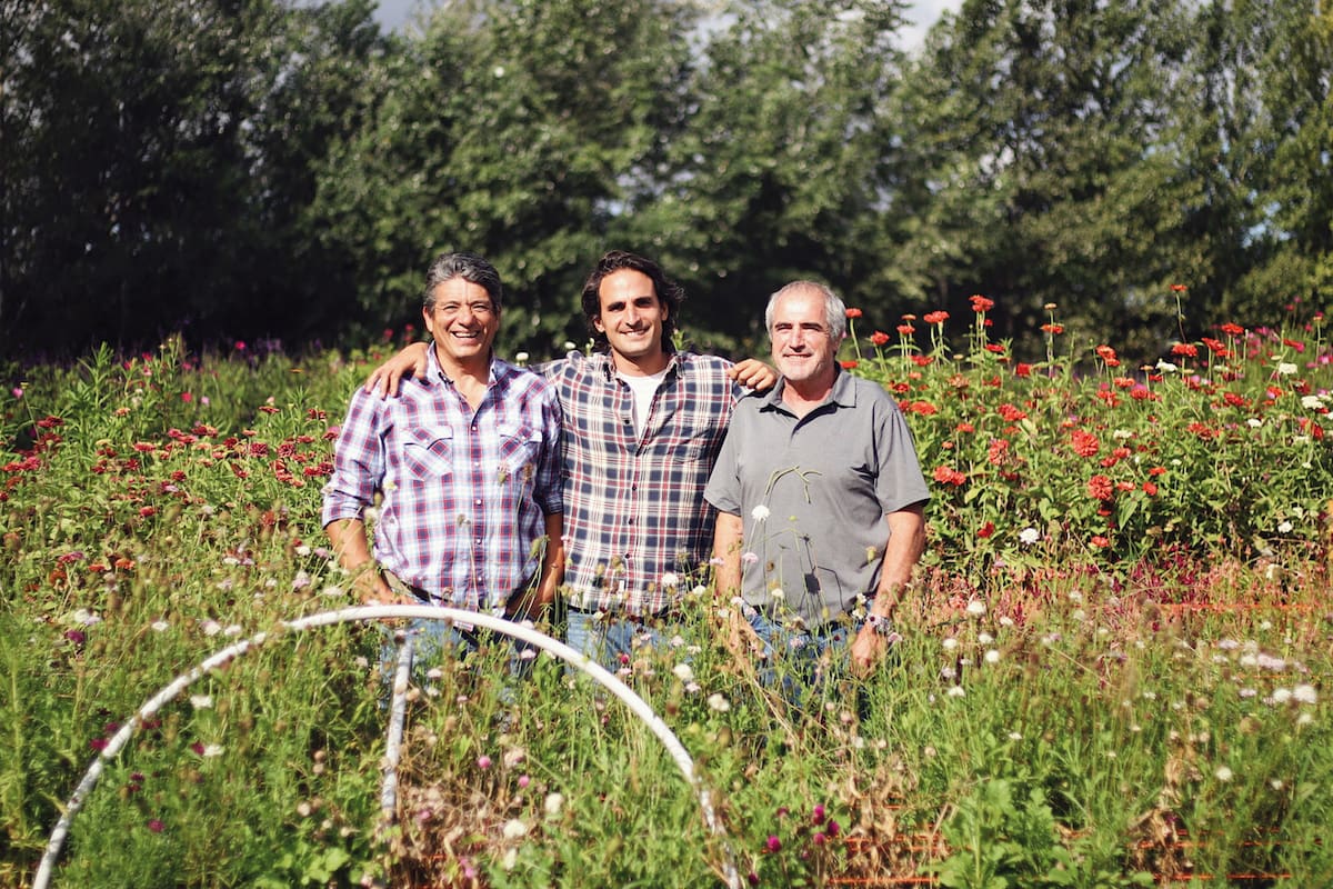 Los socios en este nuevo desafío: Félix Serrano, Blas Spina Fernández y Mario García Muzio.