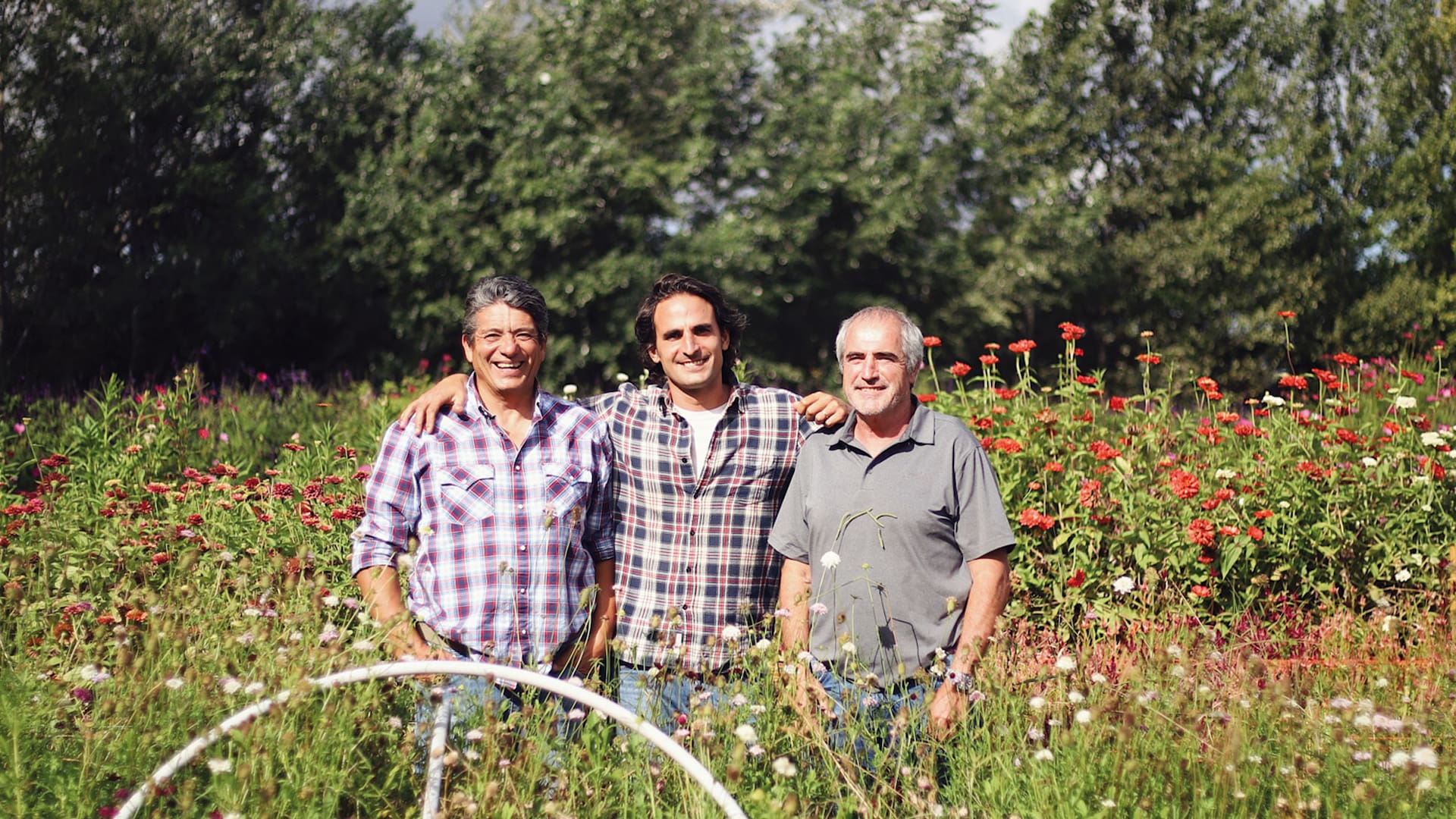 Los socios en este nuevo desafío: Félix Serrano, Blas Spina Fernández y Mario García Muzio.