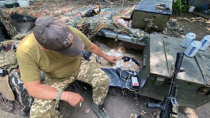 Los soldados cerca de la fronteras con Rusia