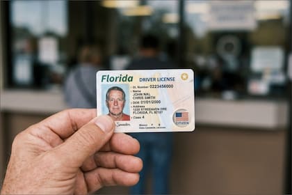 Los solicitantes extranjeros bajo la categoría de no inmigrante pueden solicitar la renovación, reemplazo o emisión por primera vez de una licencia de conducir en Florida