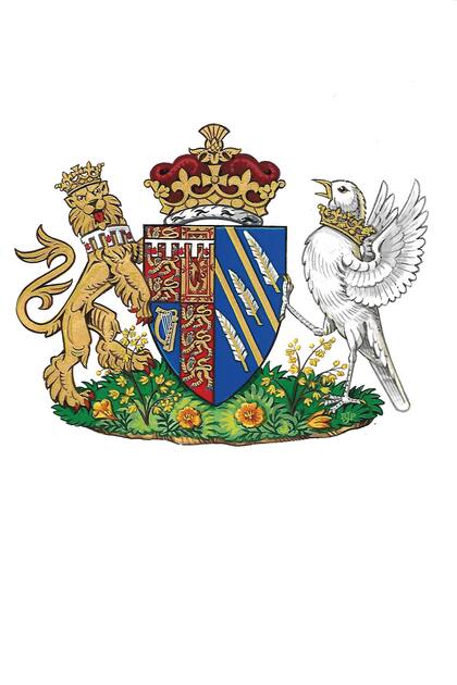 Los Sussex recibieron muchas críticas por sumar a la web, además de la coronita, el escudo de armas de Meghan, enfatizando su status royal, pero sin mencionar a la familia real.