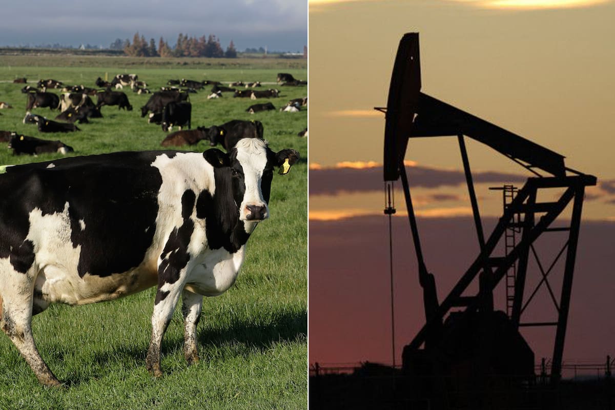 Los tamberos reclaman por la situación del sector