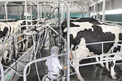 Los productores de leche buscan que el Gobierno le quite presión impositiva al sector