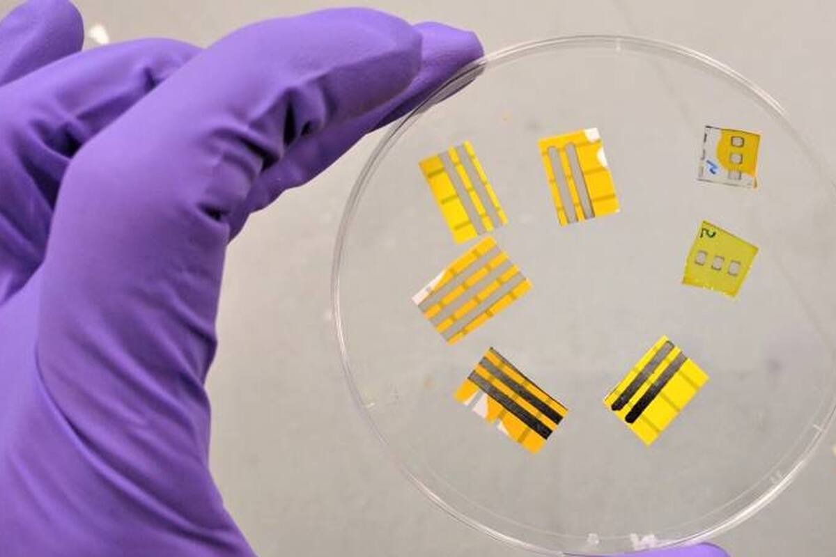 Los tatuajes luminosos autoadhesivos creados por científicos británicos e italianos