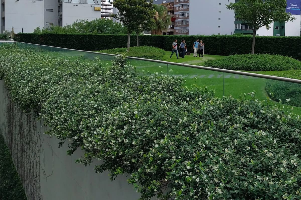 Los techos verdes permiten desde reducir las temperaturas en el interior de los ambientes hasta absorber y retener agua de lluvia porque ralentizan el escurrimiento hacia los desagües pluviales y reducen el riesgo de anegamientos