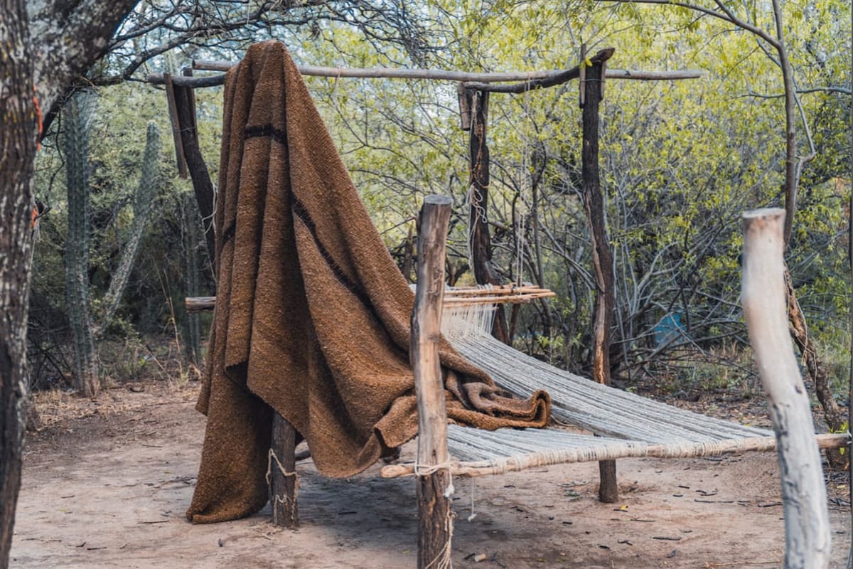 Los tejidos conquistan a Australia