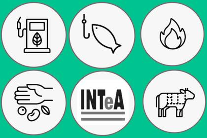 Los temas del agro que todavía están en el proyecto de la ley ómnibus que esperan tratamiento en el Congreso