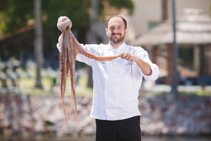 Los tentáculos sabrosos de este misterioso habitante del mar siempre fueron un manjar de la mesa. Cocinarlo requiere de expertise