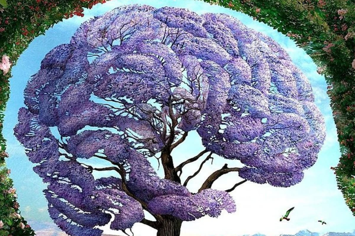 Los test de personalidad revelan aspectos vinculados a la forma de ser de las personas