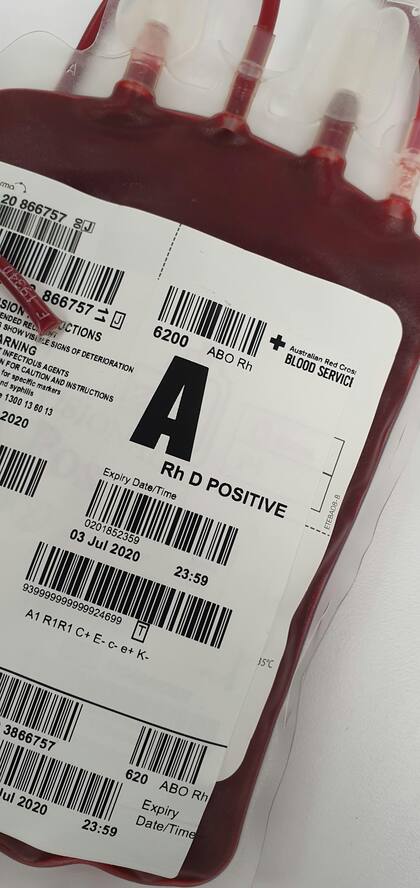 Los tipos de sangre AOB no son los únicos, según el estudio