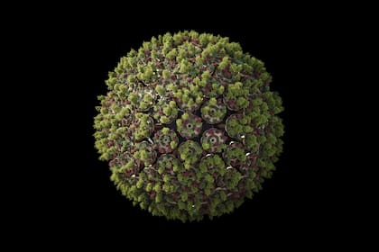 Los tokens ahora también se usan para asignarle un valor determinado a los activos ambientales