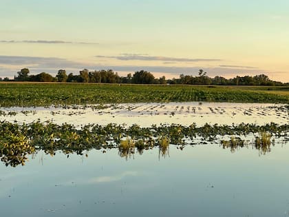 Los Toldos, provincia de Buenos Aires