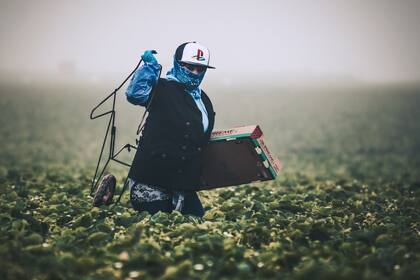 Los trabajadores con visas H-2A son contratados para realizar trabajos agrícolas o servicios de naturaleza temporal o estacional
