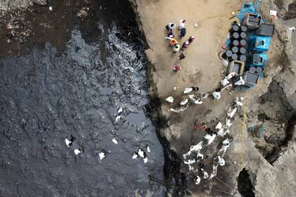Los trabajadores continúan en una campaña de limpieza después de un derrame de petróleo, en Playa Cavero en el distrito de Ventanilla de Callao, Perú, el sábado 22 de enero de 2022. El derrame de petróleo en la costa peruana fue causado por oleajes registrados luego de una erupción de un volcán submarino en Tonga, una nación del Pacífico Sur. (Foto AP/Martín Mejía)