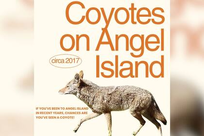 Los trabajadores de Angel Island colocaron carteles para avisar a los visitantes