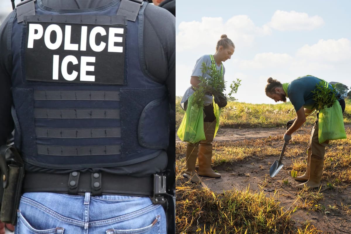 Los trabajadores de California enfrentan un doble desafío por temor al ICE