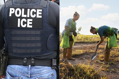 Los trabajadores de California enfrentan un doble desafío por temor al ICE