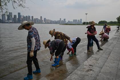 Los trabajadores limpian sus botas en el río Yangtze en Wuhan, en la provincia central de Hubei en China, el 28 de septiembre de 2020