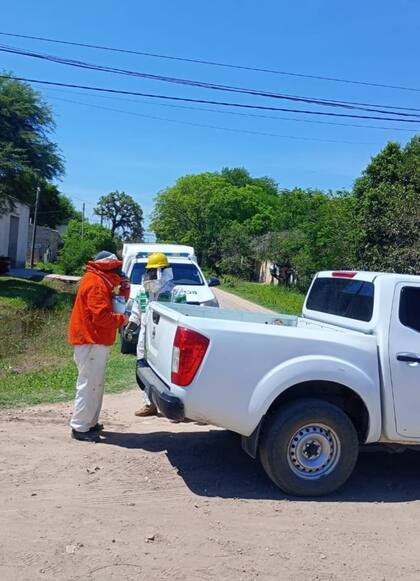Los trabajos para acercarse al cuerpo y remover la camioneta fueron complejos a raíz de la cantidad de abejas.