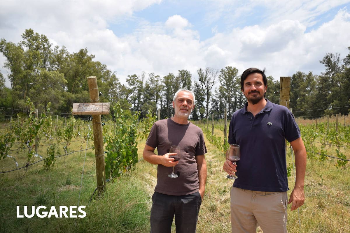 Los tres proyectos vitivinícolas forman parte del programa “Vinos Buenos Aires”, una iniciativa para potenciar el enoturismo bonaerense.