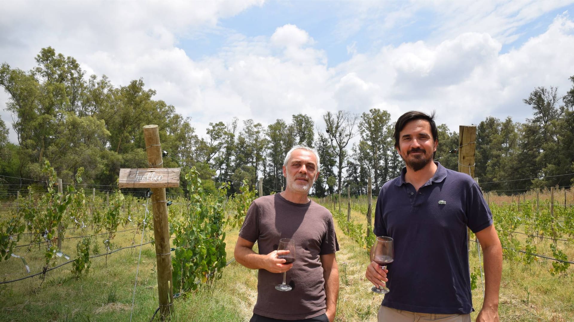 Los tres proyectos vitivinícolas forman parte del programa “Vinos Buenos Aires”, una iniciativa para potenciar el enoturismo bonaerense.