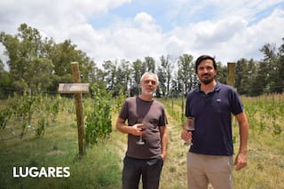 La nueva e inesperada ruta del vino en la provincia de Buenos Aires
