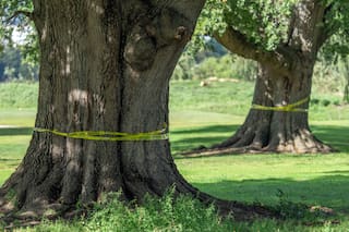 Jueza federal ordena suspender obras en histórico campo de golf de Washington, DC