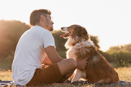 Los trucos para que tu perro sea más feliz y garantizar su bienestar