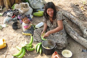 Los tsimane experimentan menos atrofia cerebral que los ciudadanos occidentales