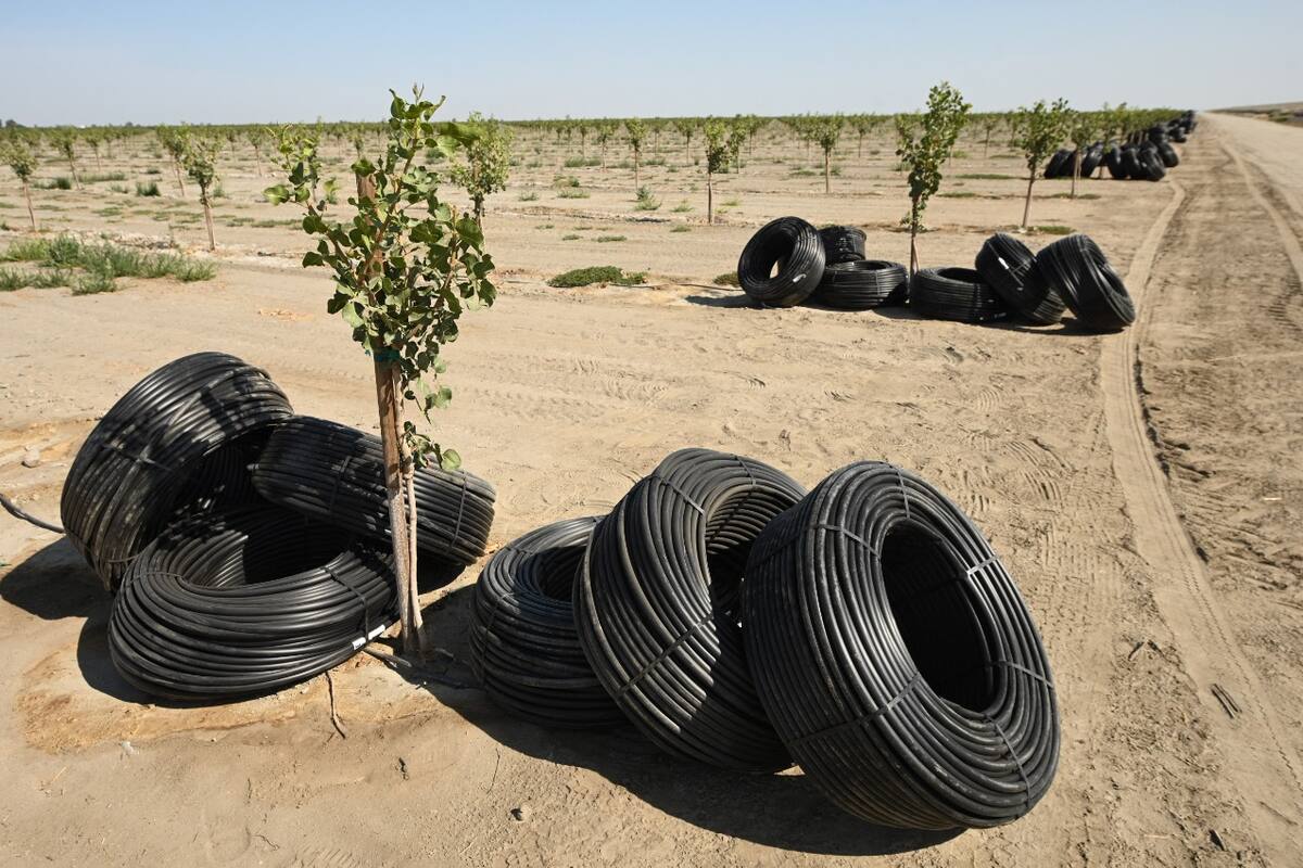Los tubos de irrigación que se alimentan de agua subterránea