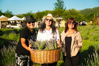 Los turistas pueden pasear por los campos de lavanda y conocer el proceso