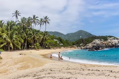 Los turistas querían conocer el fabuloso parque (Foto Unsplash)