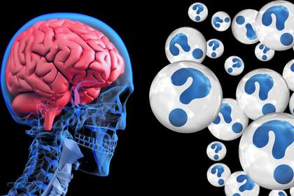 Los únicos medicamentos aprobados para el alzhéimer solo alivian algunos de los síntomas, parcial y temporalmente, pero no detienen el progreso de la enfermedad