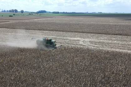 Los US$400 millones proyectados por retenciones para la campaña 2024/25 equivalen a la compra de 3080 unidades que podrían haberse destinado al reequipamiento productiv.