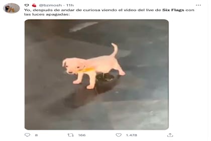 Los usuarios de redes sociales compartieron sus impresiones sobre el misterioso video de Six Flags