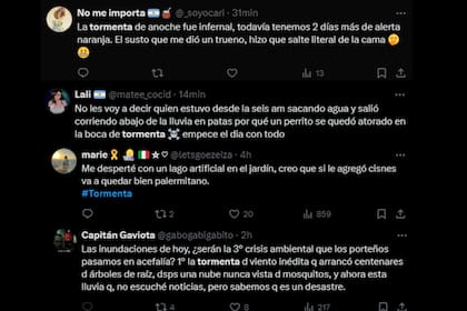 Los usuarios de X reaccionaron ante el temporal (Captura X)