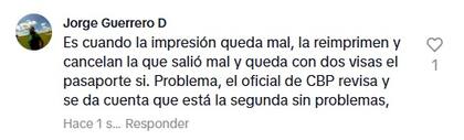Los usuarios respondieron a la tiktoker con experiencias similares en sus visas