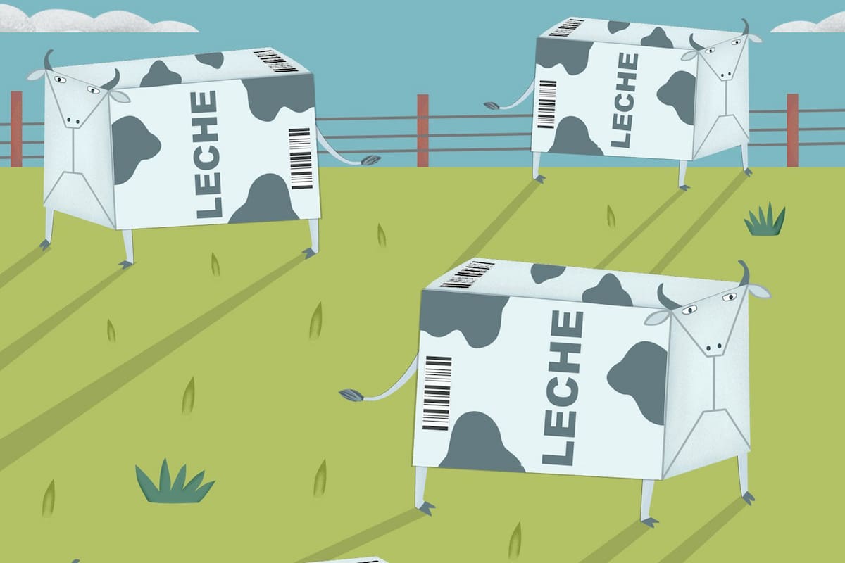 Los vaivenes de SanCor y los problemas en el abastecimiento de leche impulsan una reconfiguración del mercado; en un escenario de baja en la demanda, se consolida la presencia de nuevos jugadores en los supermercados