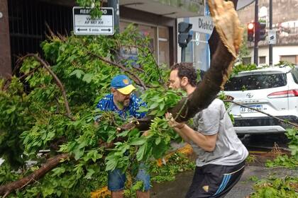 Los vecinos de Miguel ayudan a sacar ramas que cayeron sobre su auto. Esquina Gascón y Honduras, CABA . 